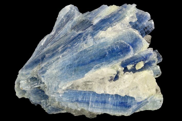 Vibrant Blue Kyanite Crystals In Quartz - Brazil #118849